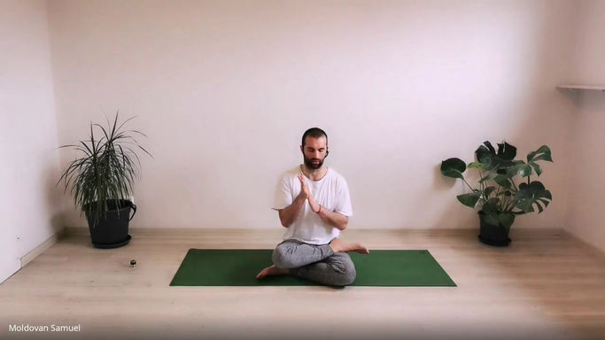 Yoga with Samuel - 45 min Class - Sommelier of Yoga